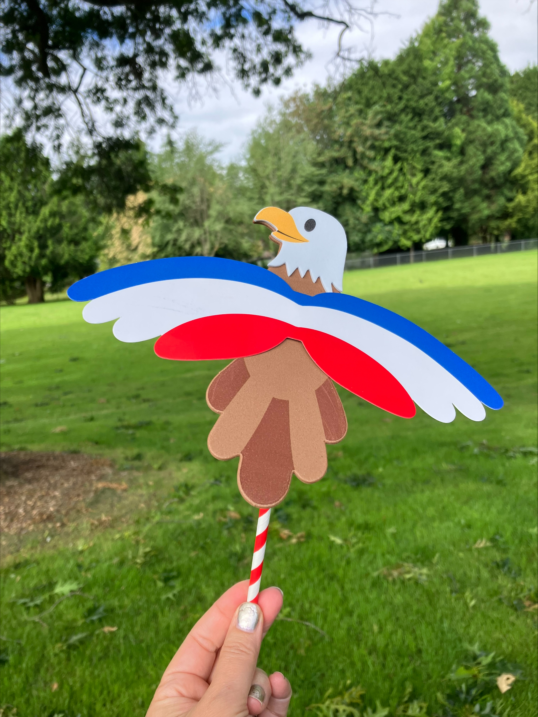 Red white and blue decorative eagle craft being held in the air.