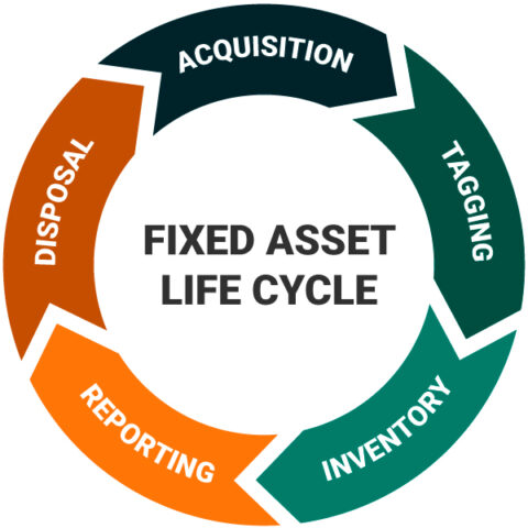 Fixed Asset Life Cycle: Aquisition, Tagging, Inventory, Reporting, Disposal, Aquisition.