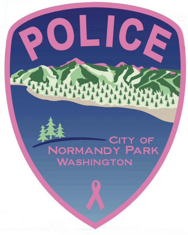 Police Pink Patch