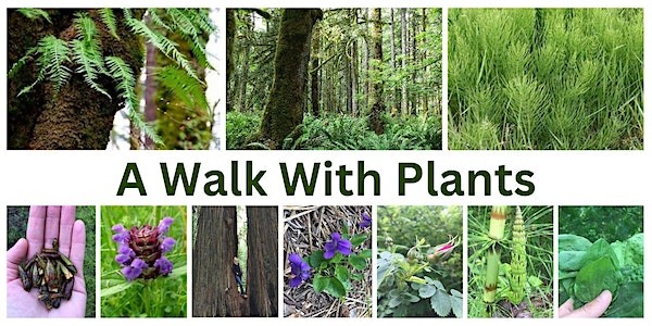 Walk with plants